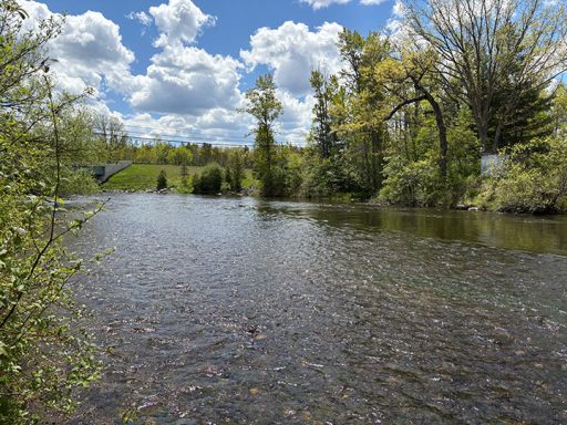 Image of AuSable Riverbed in Michigan