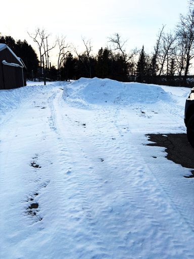 View Down Driveway That's Been Snowplowed Image